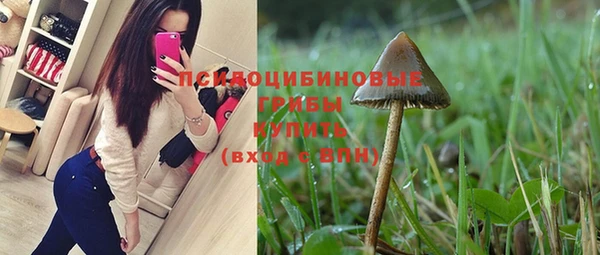 прущая мука Бородино